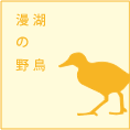 漫湖の野鳥