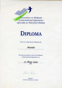 diploma