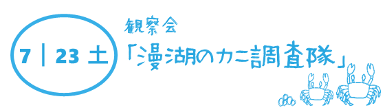 漫湖のカニ調査隊